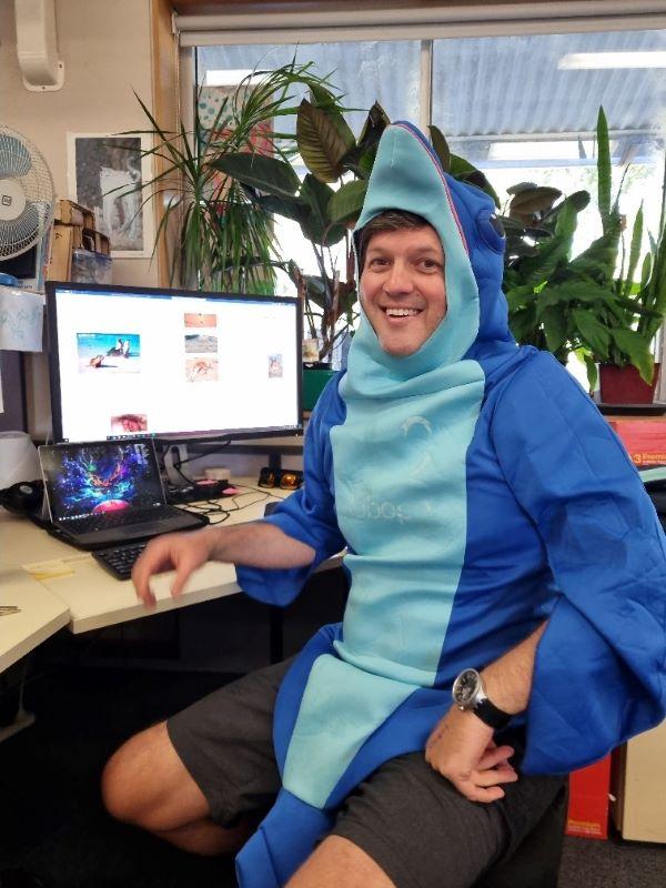 Image of a person sitting at a computer desk wearing a shark costume